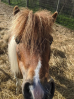 Rocket testimonial photo