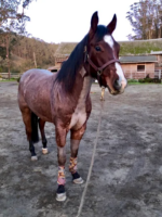 Amarillo testimonial photo