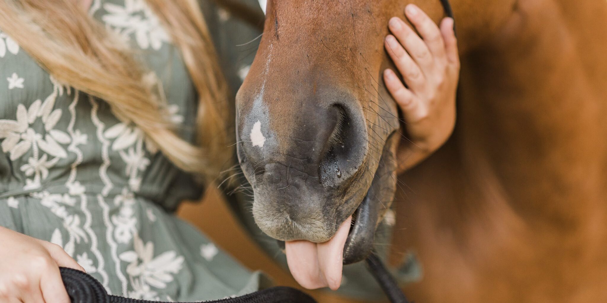 Horse closeup image and Emma talking about how much cbd dosage a horse needs.