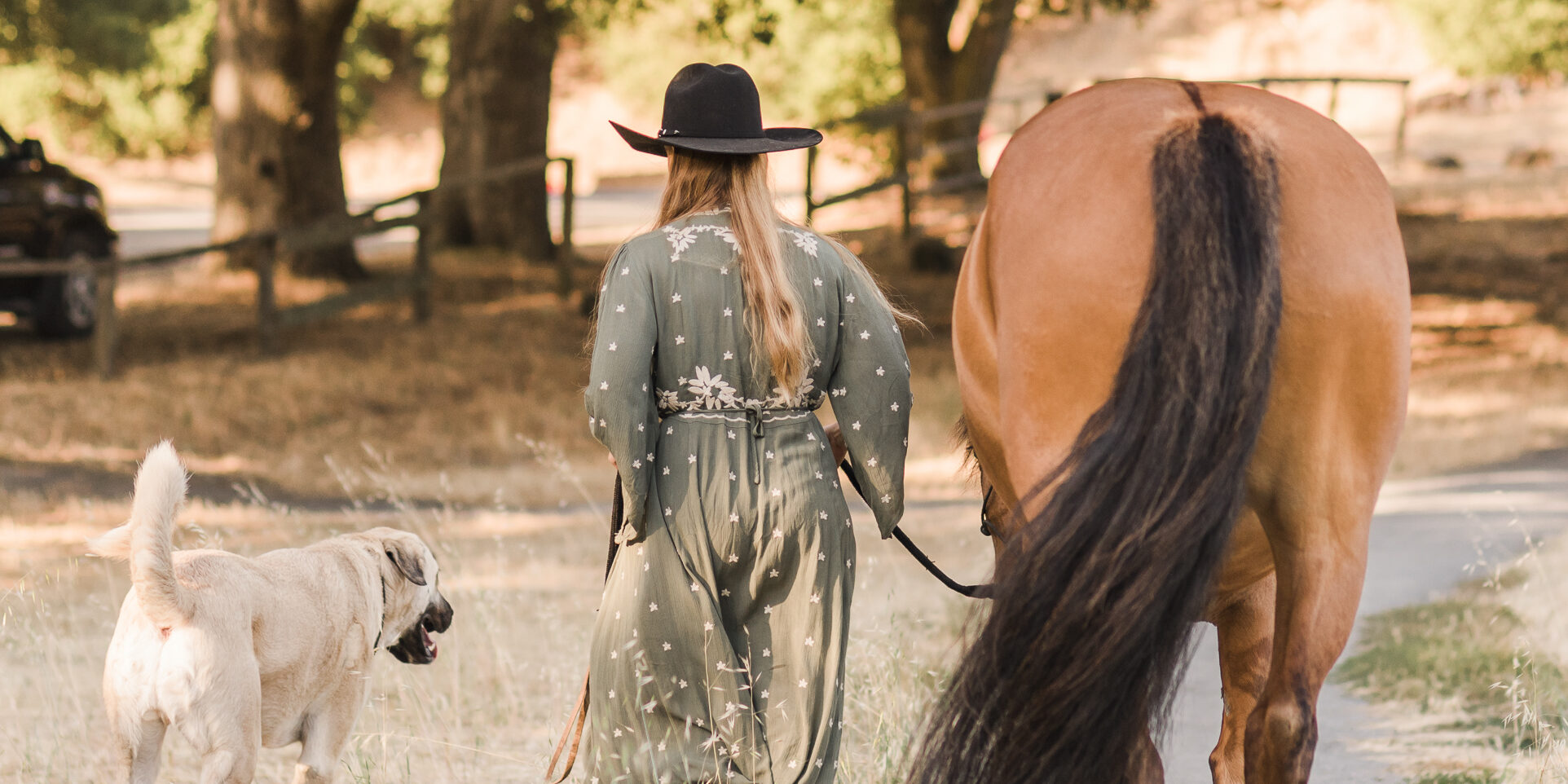 EmmaB037med Charitable Giving in CBD