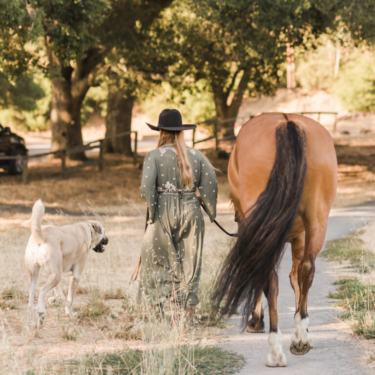 Charitable Giving in CBD