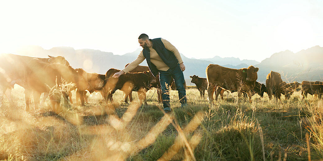 Farmer with his farm animals and cattle