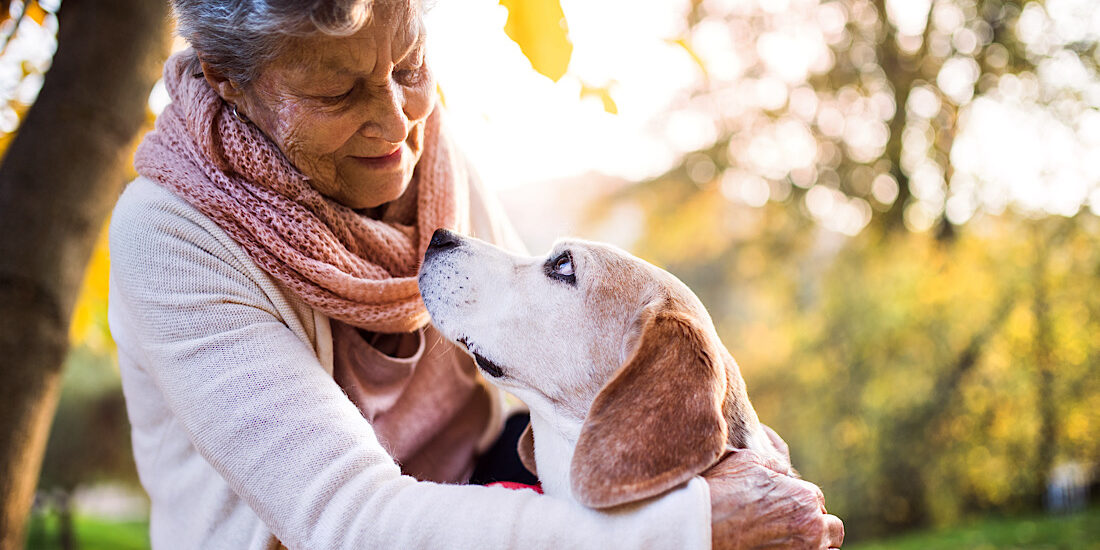 An elderly woman with dog in autumn nature.