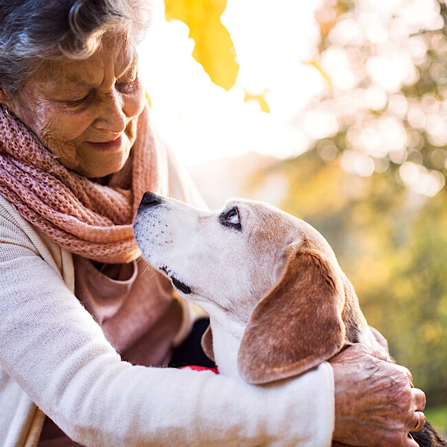 An elderly woman with dog in autumn nature.