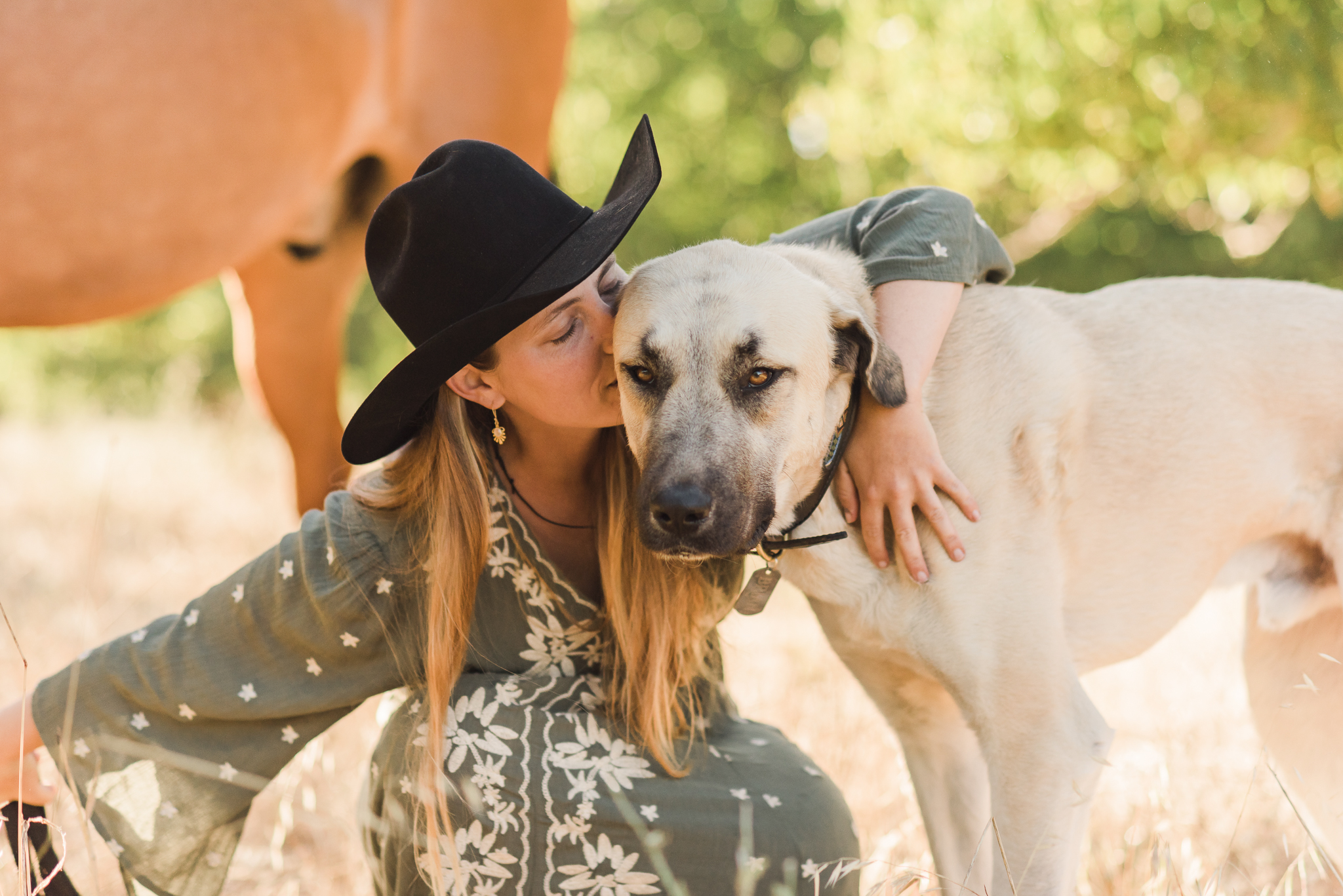 EmmaB082med Guide to CBD for dogs