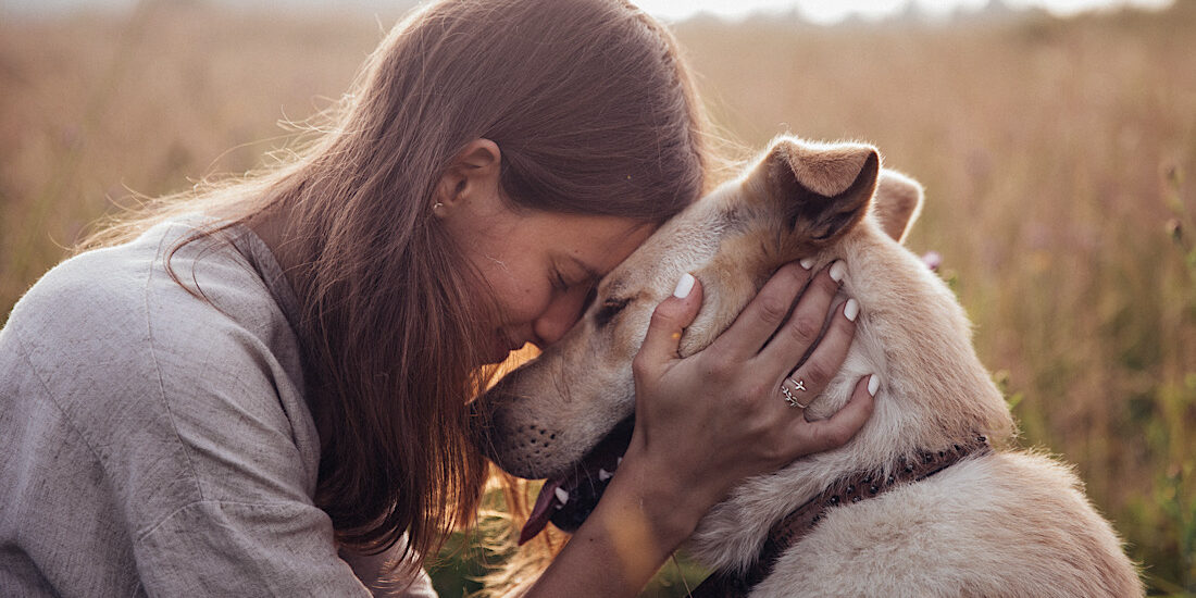 Dog and her owner sitting in a field giving cuddles.