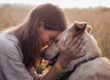 Dog and her owner sitting in a field giving cuddles.
