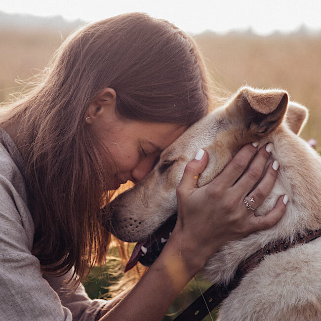 Dog and her owner sitting in a field giving cuddles.