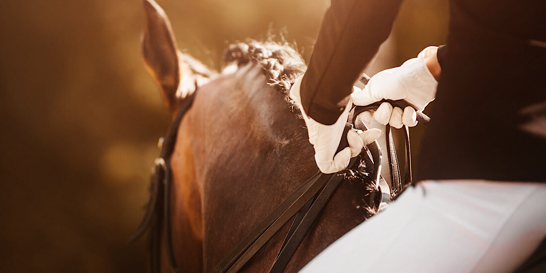 Beautiful photo of an owner on their horse, equine competition.