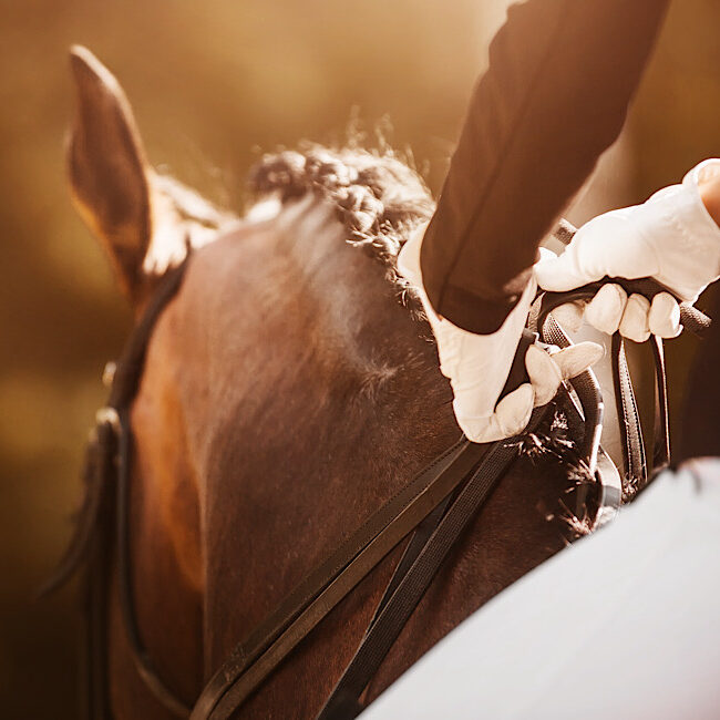 Beautiful photo of an owner on their horse, equine competition.