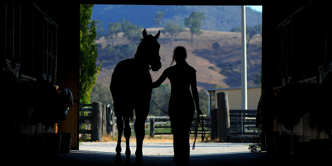 Horse and woman silhouette in barn showcasing love and care for horses.