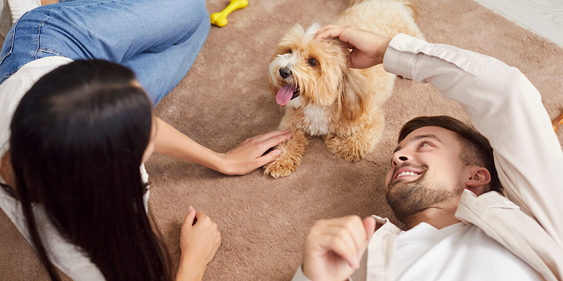 Young loving couple, happy family owners playing with cute pet puppy at home.