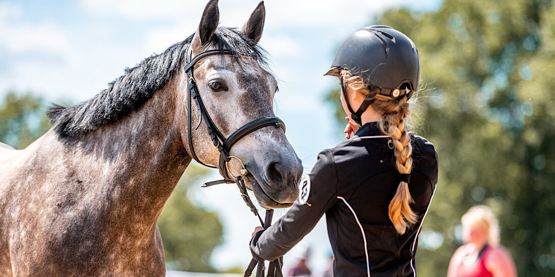 Beautiful horse ready for equine show with owner.