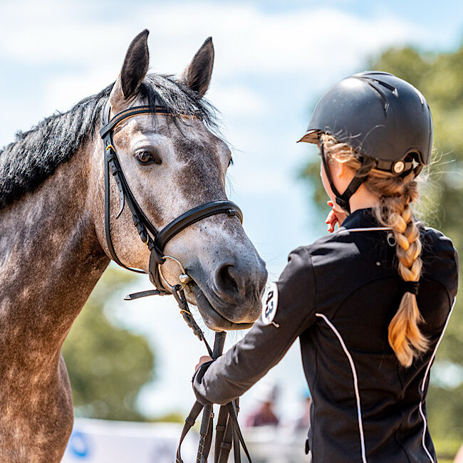 Beautiful horse ready for equine show with owner.