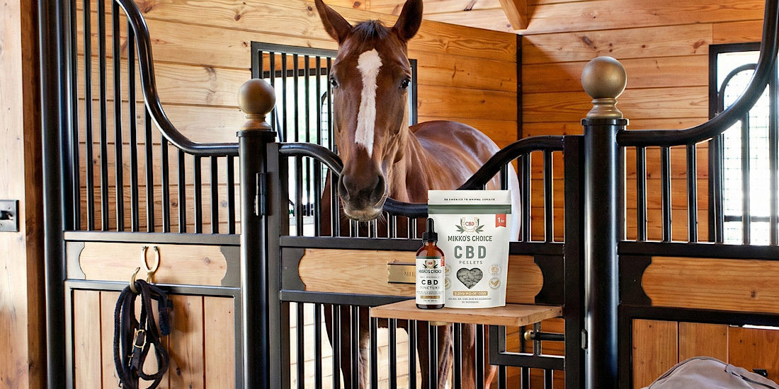 horse+barn+stall+cbd+tincture CBD pellets versus tincture for horses and animals.