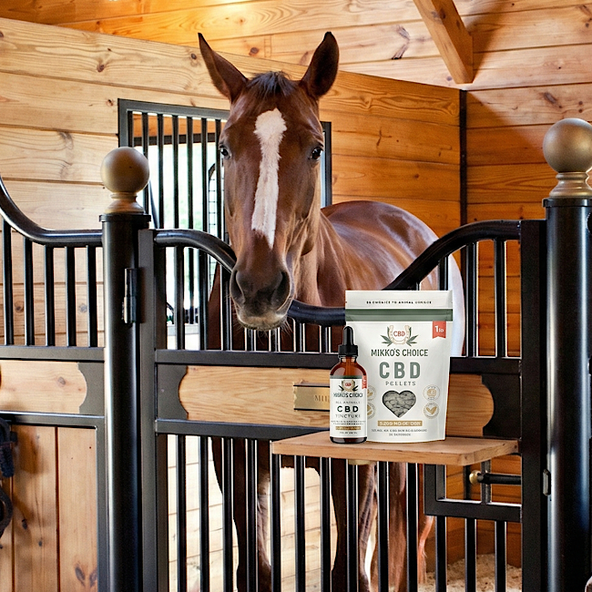 CBD pellets versus tincture for horses and animals.