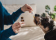 CBD Safety Tips for Multi-Pet Homes